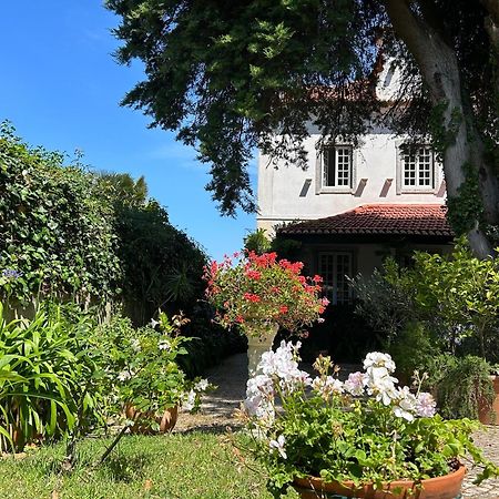 Villa Branca Jacinta Sintra Exteriör bild