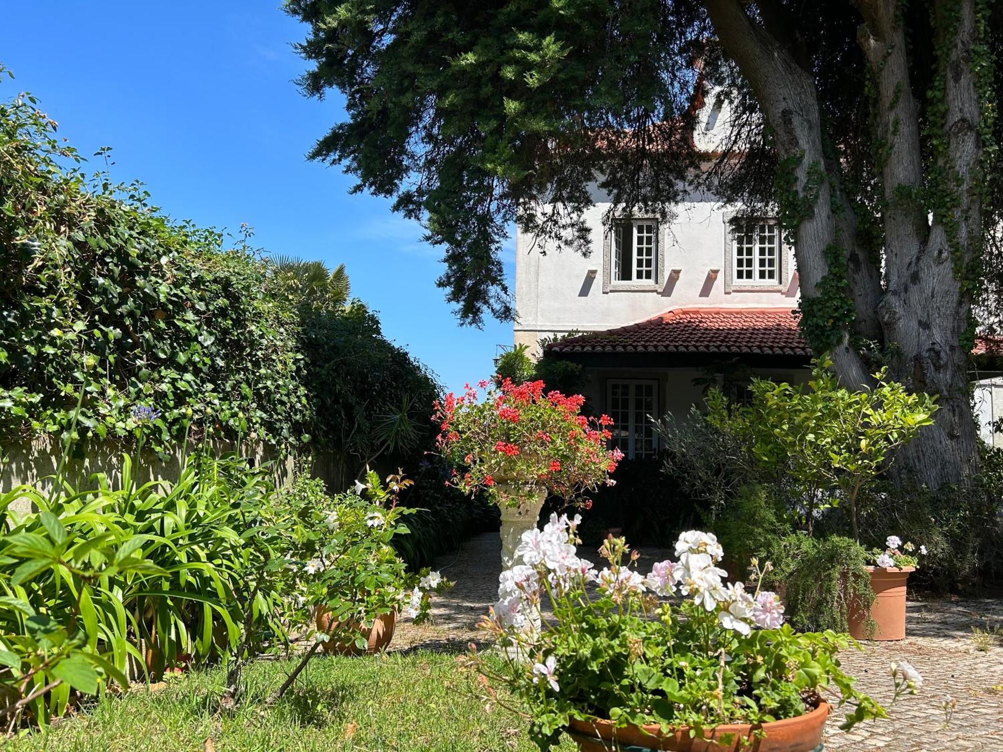 Villa Branca Jacinta Sintra Exteriör bild