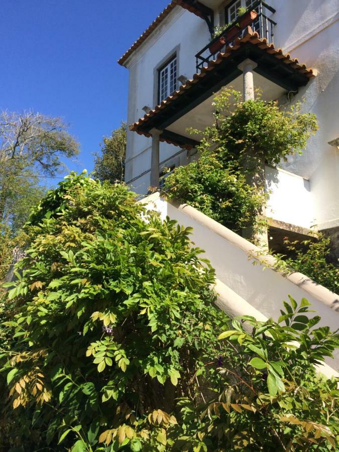 Villa Branca Jacinta Sintra Exteriör bild