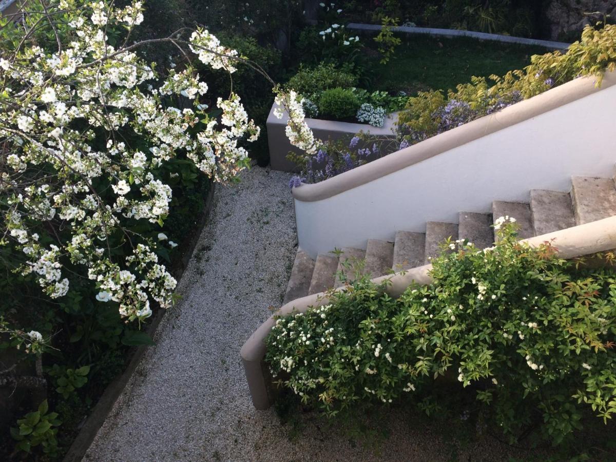Villa Branca Jacinta Sintra Exteriör bild